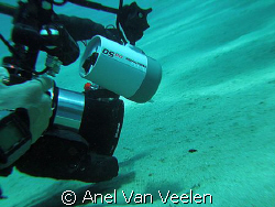 Nikki taking a shot of the frogfish - tiny black spot in ... by Anel Van Veelen 